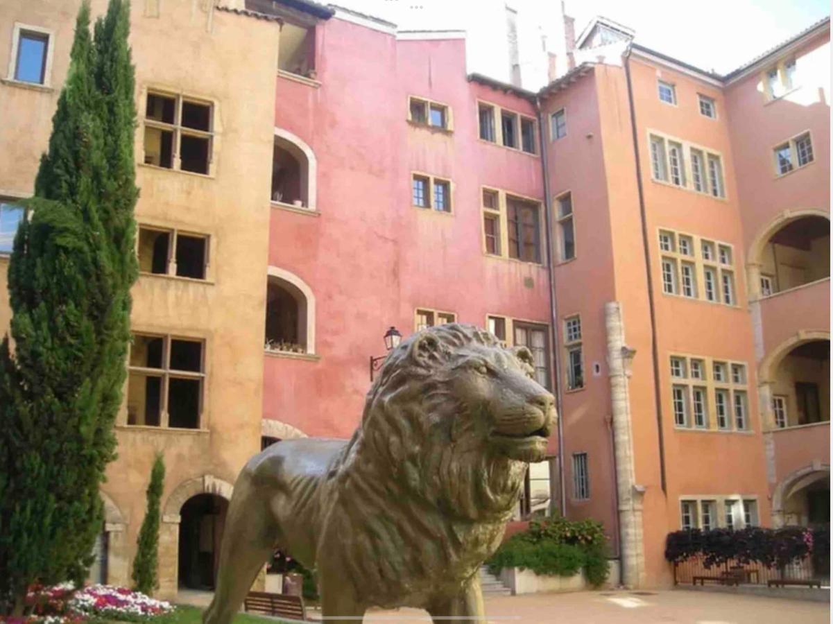 Beau Duplex Avec Jardin Et Vue Διαμέρισμα Λυών Εξωτερικό φωτογραφία